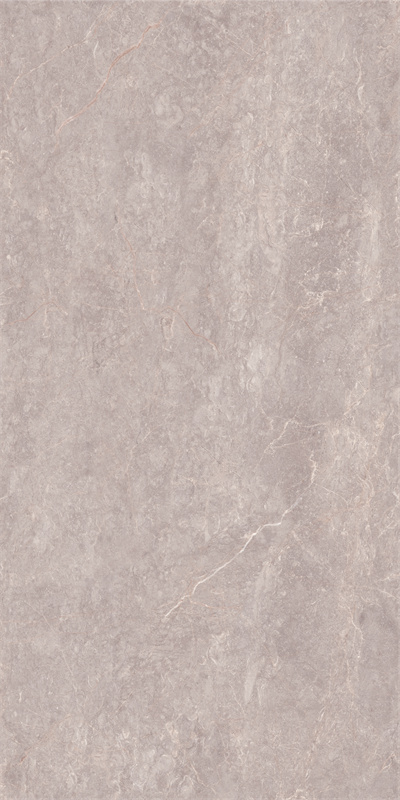 918GT1204 玛雅棕灰