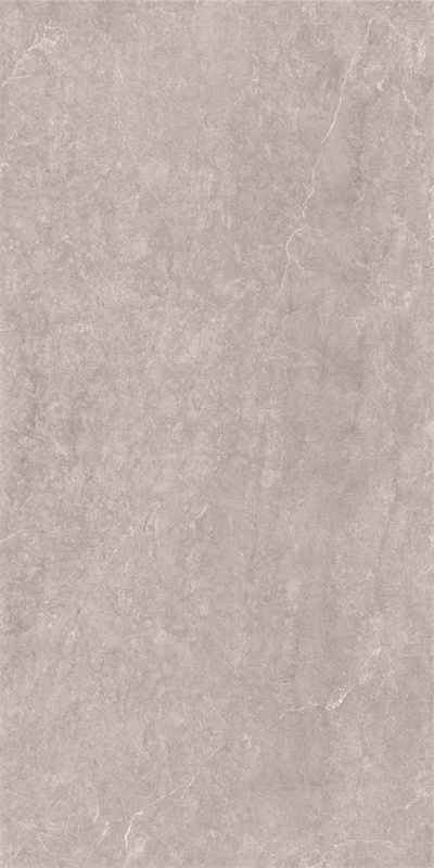 918GT1204 玛雅棕灰