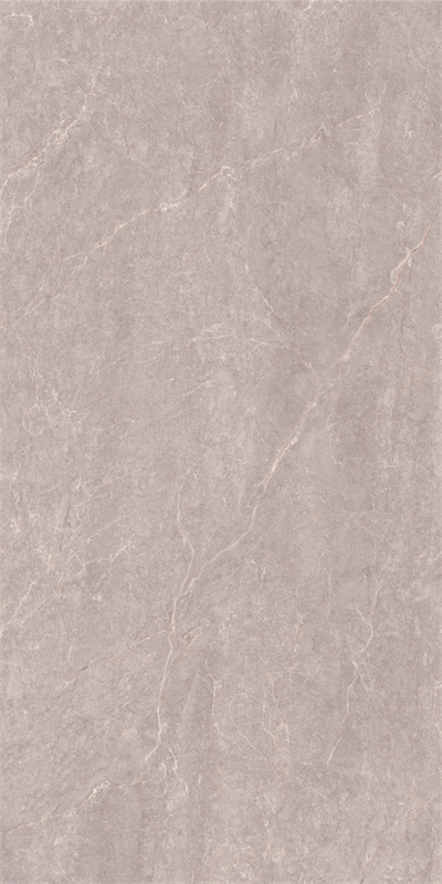 918GT1204 玛雅棕灰