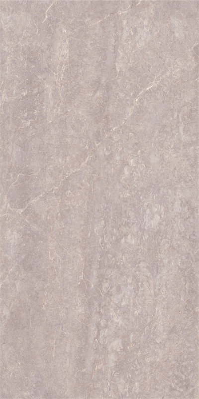 918GT1204 玛雅棕灰