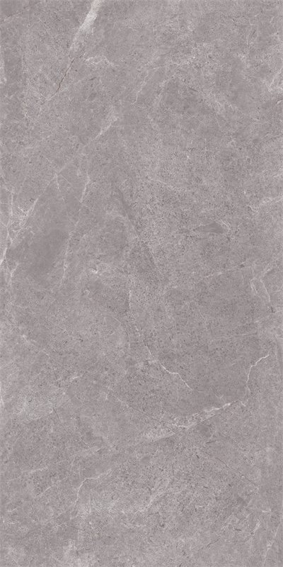 918GT1209 普拉多灰