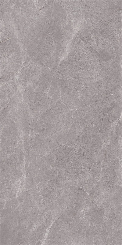 918GT1209 普拉多灰