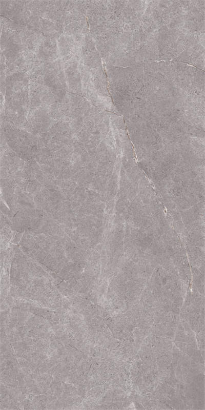 918GT1209 普拉多灰