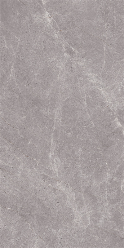 918GT1209 普拉多灰