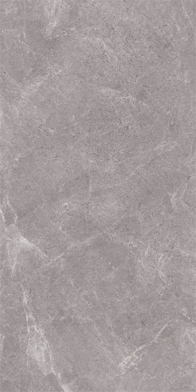 918GT1209 普拉多灰