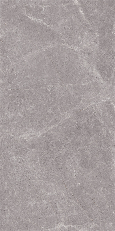 918GT1209 普拉多灰