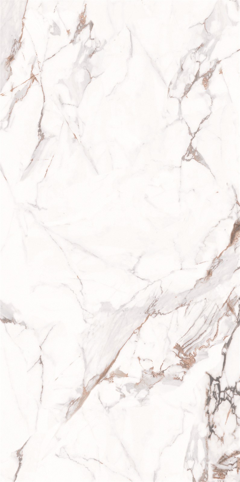 918AB1239 百达翡丽