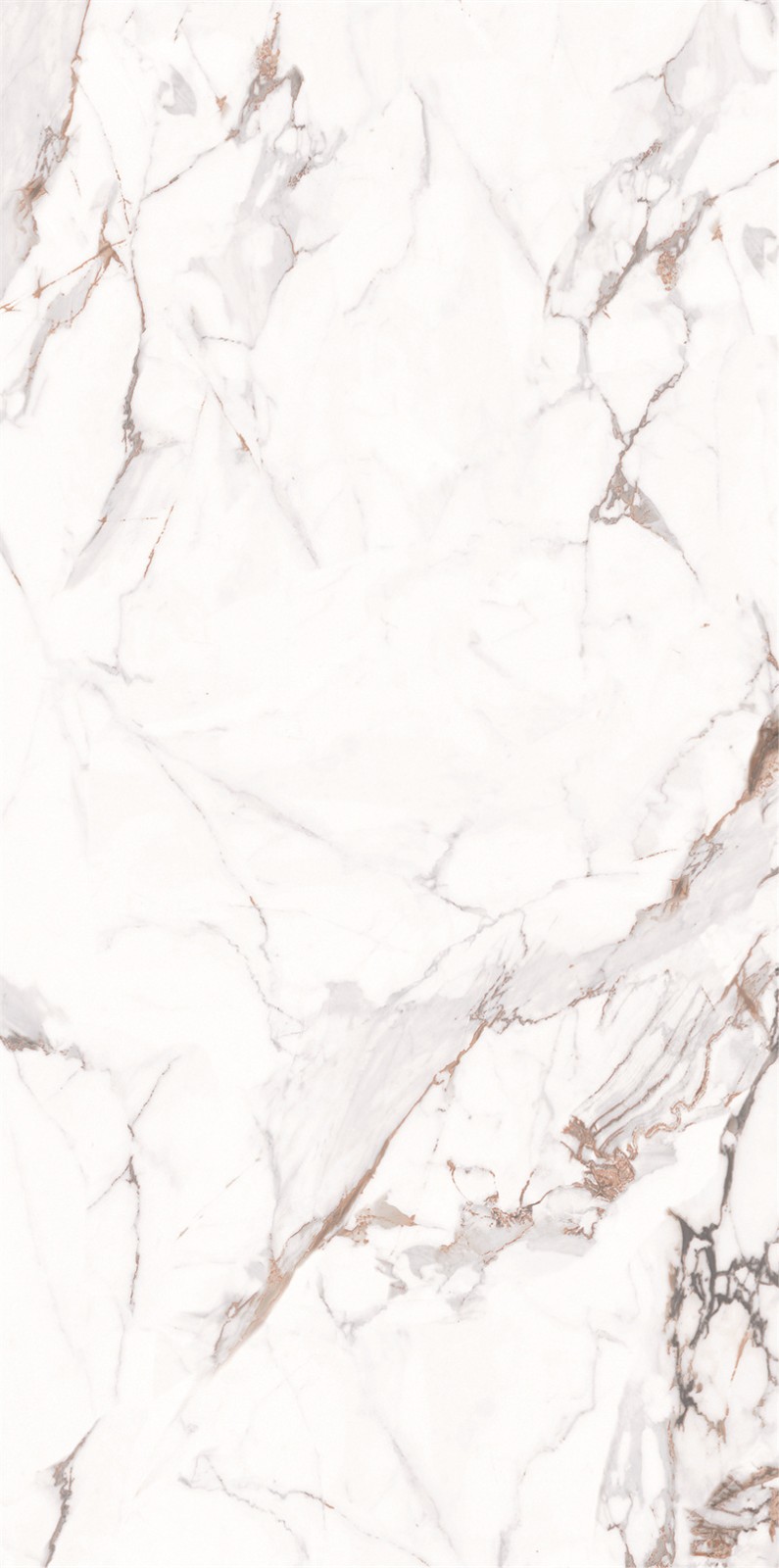 918AB1239 百达翡丽