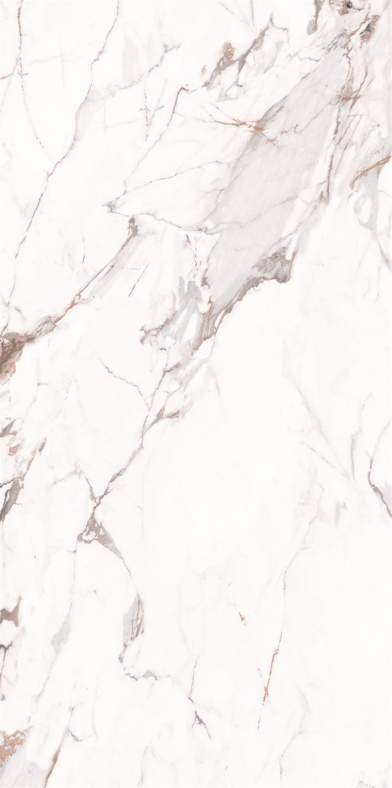 918AB1239 百达翡丽