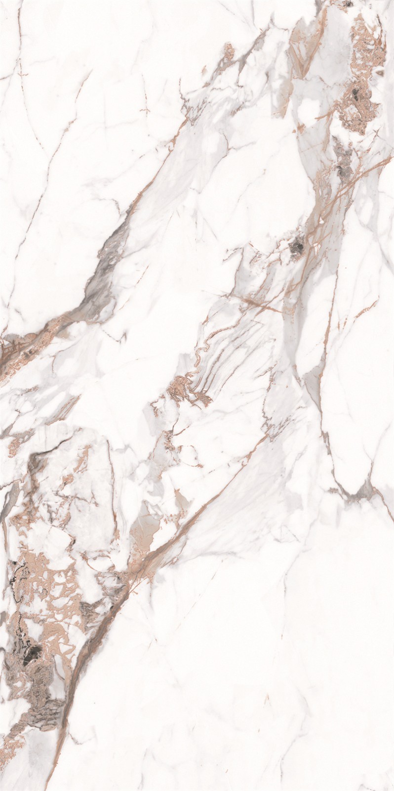 918AB1239 百达翡丽