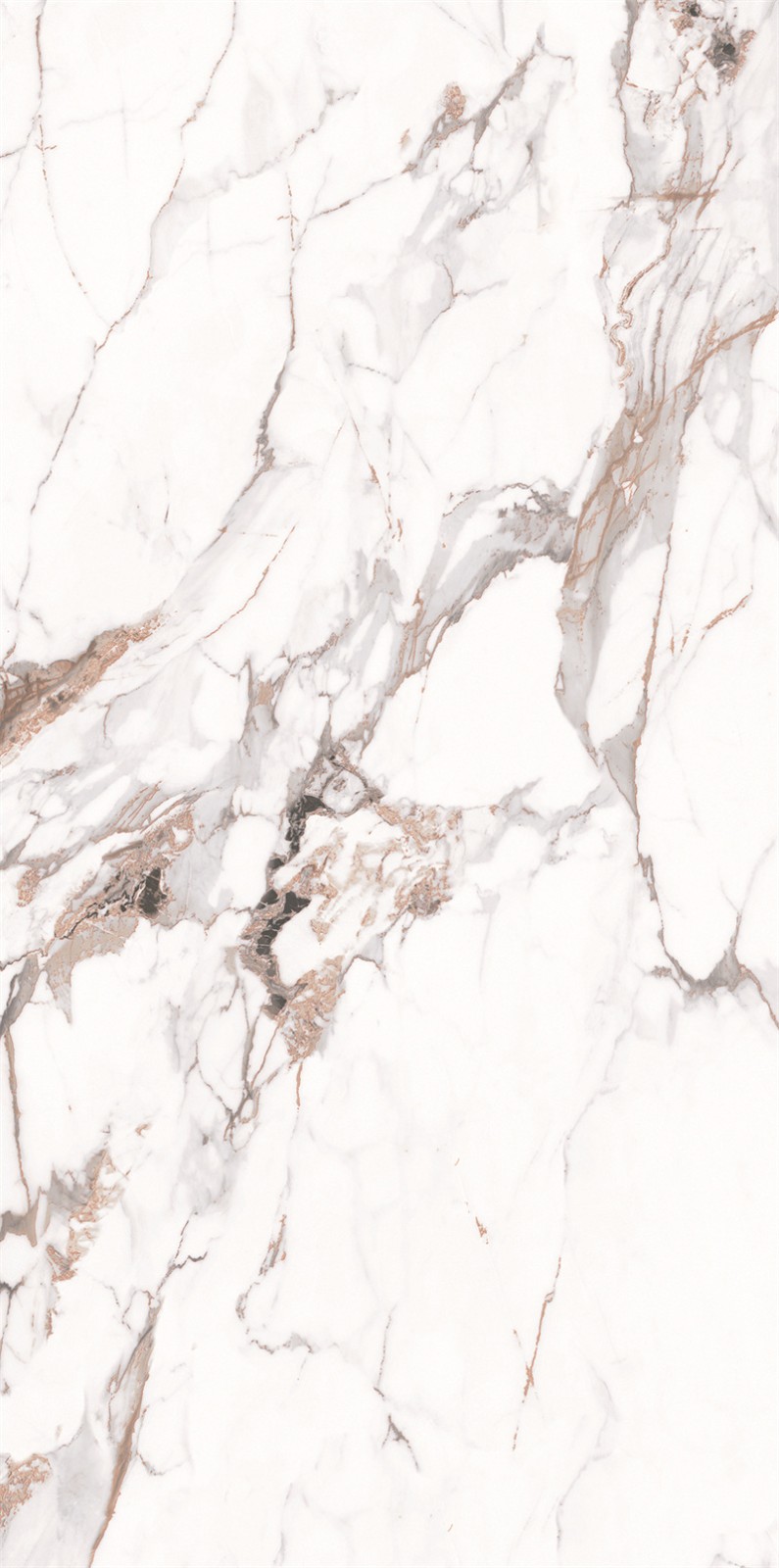 918AB1239 百达翡丽