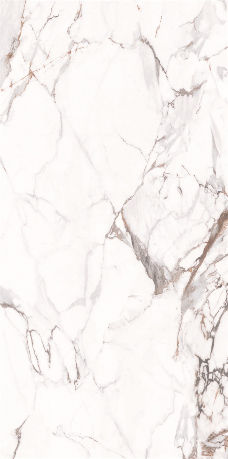 918AB1239 百达翡丽