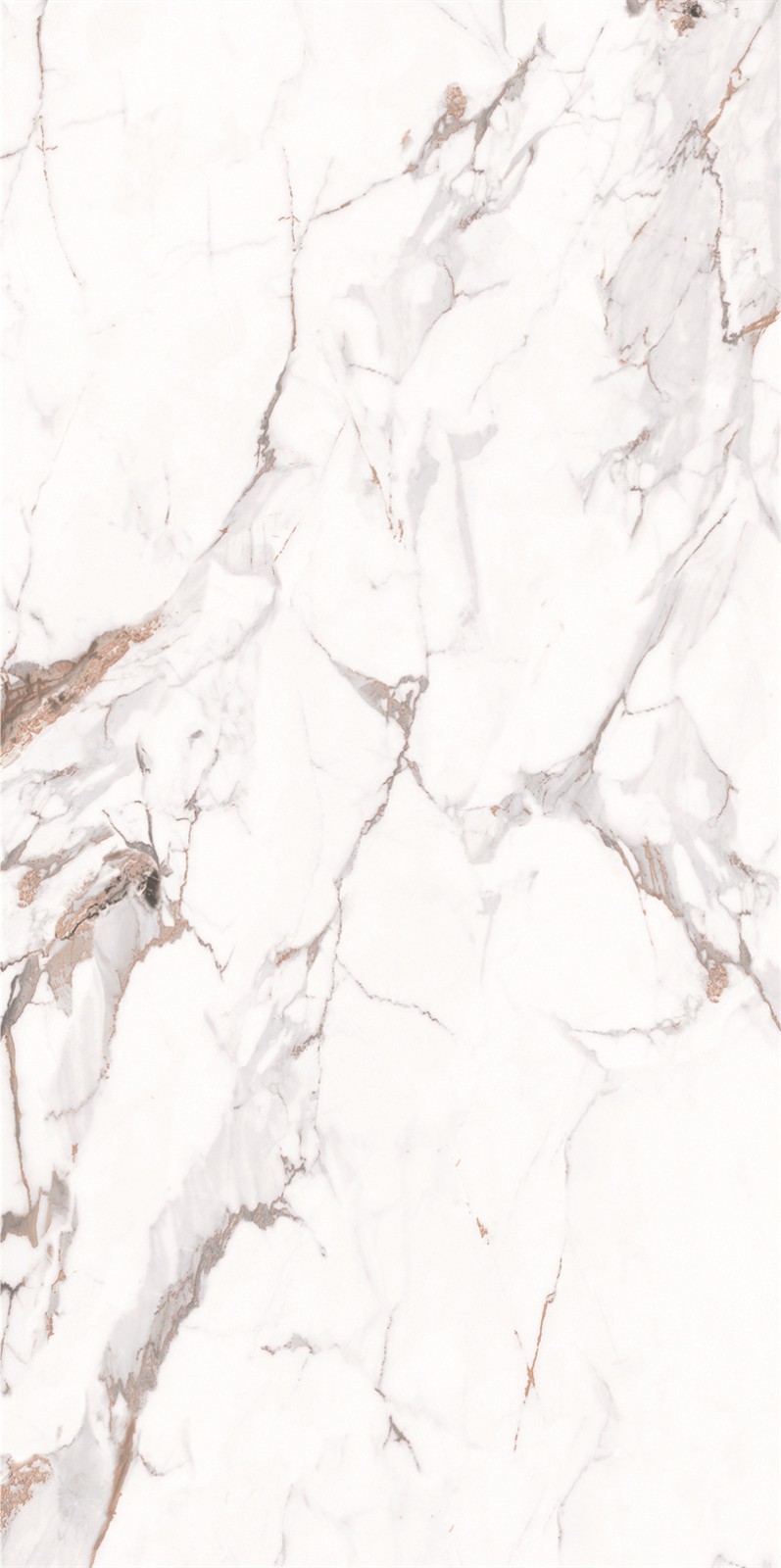 918AB1239 百达翡丽