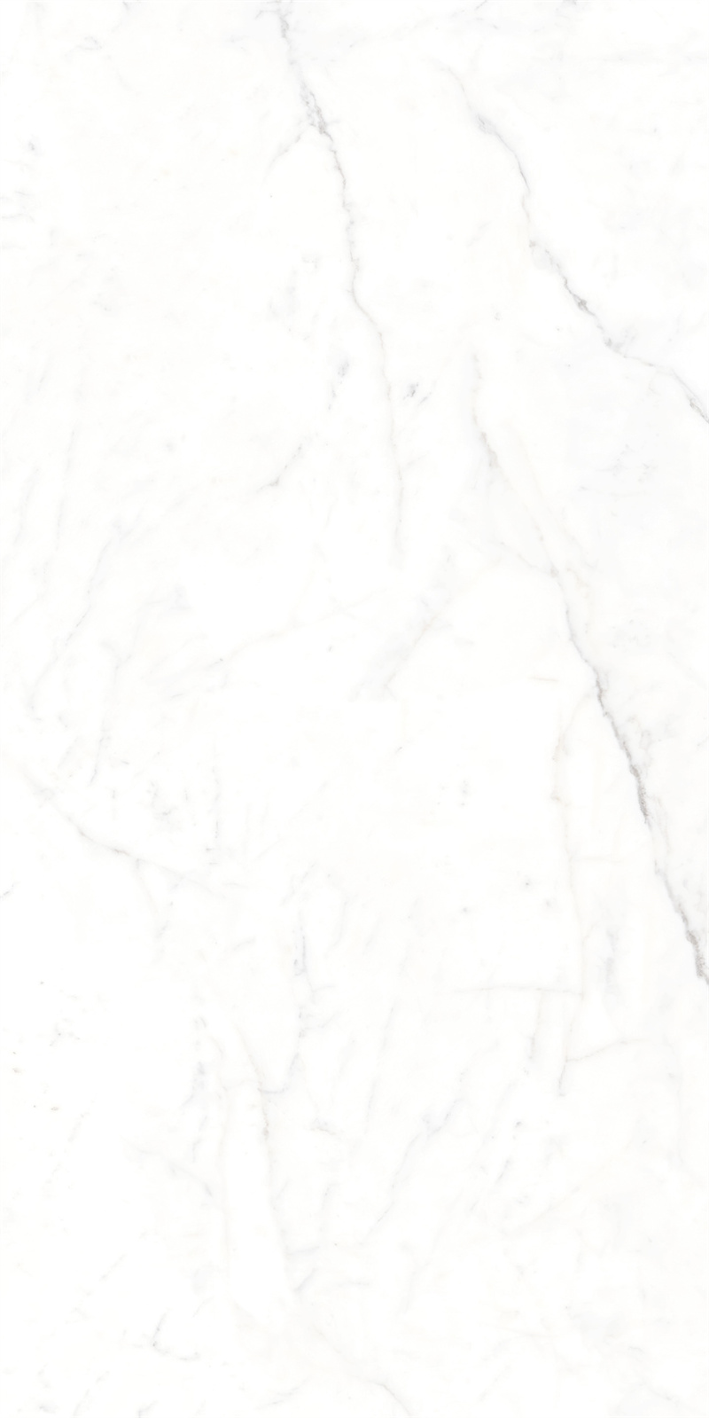 AB918303 大纹雪花白