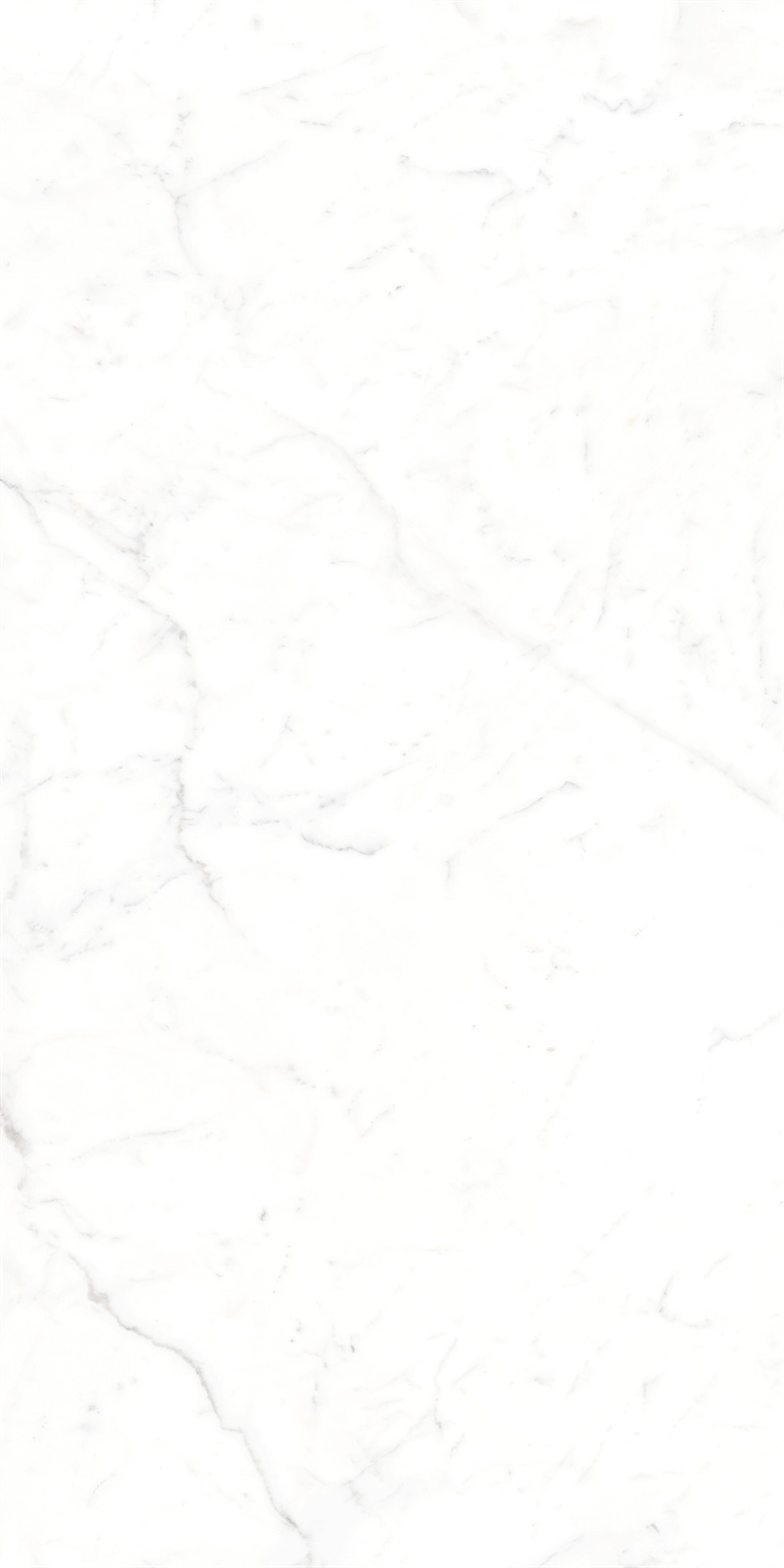 AB918303 大纹雪花白