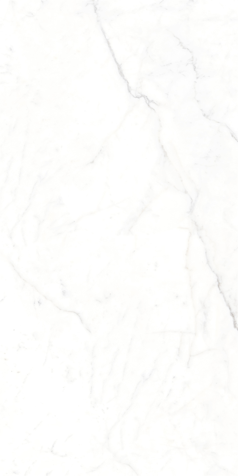 AB918303 大纹雪花白