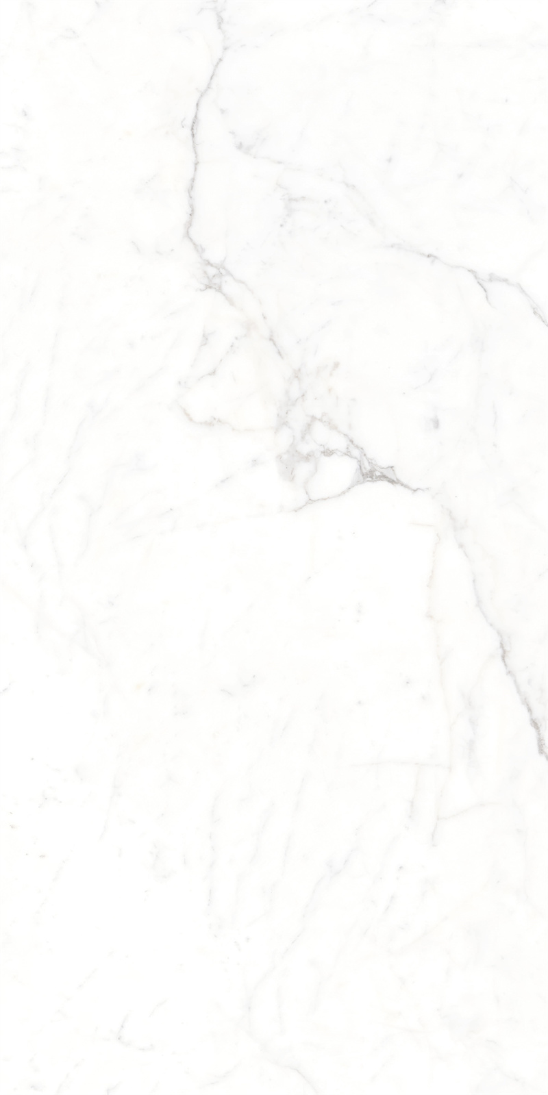 AB918303 大纹雪花白