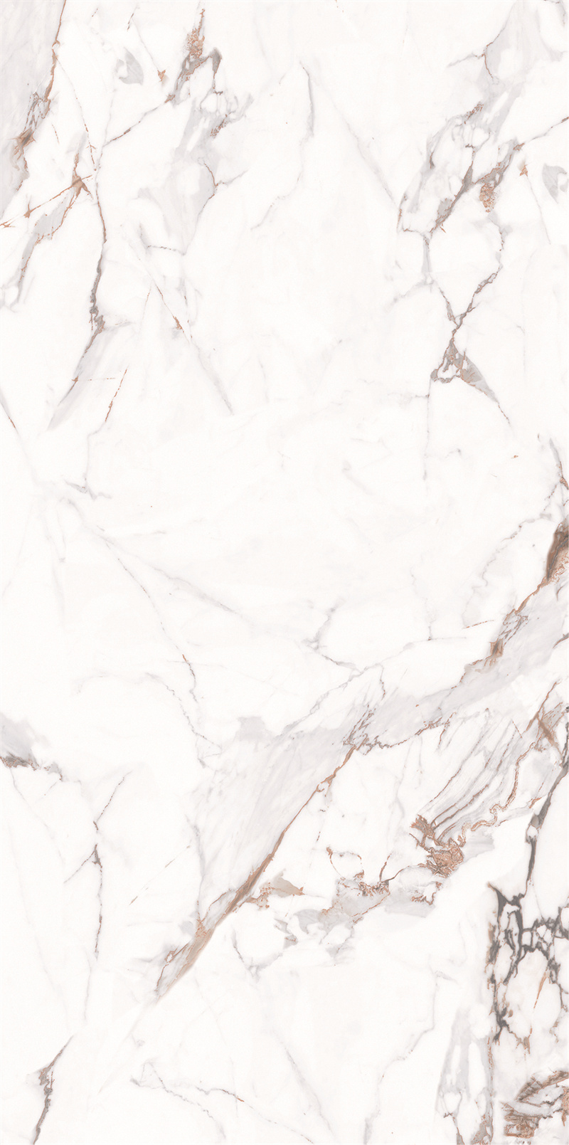 918AB1239 百达翡丽