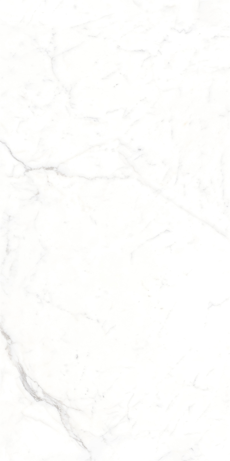 AB918303 大纹雪花白