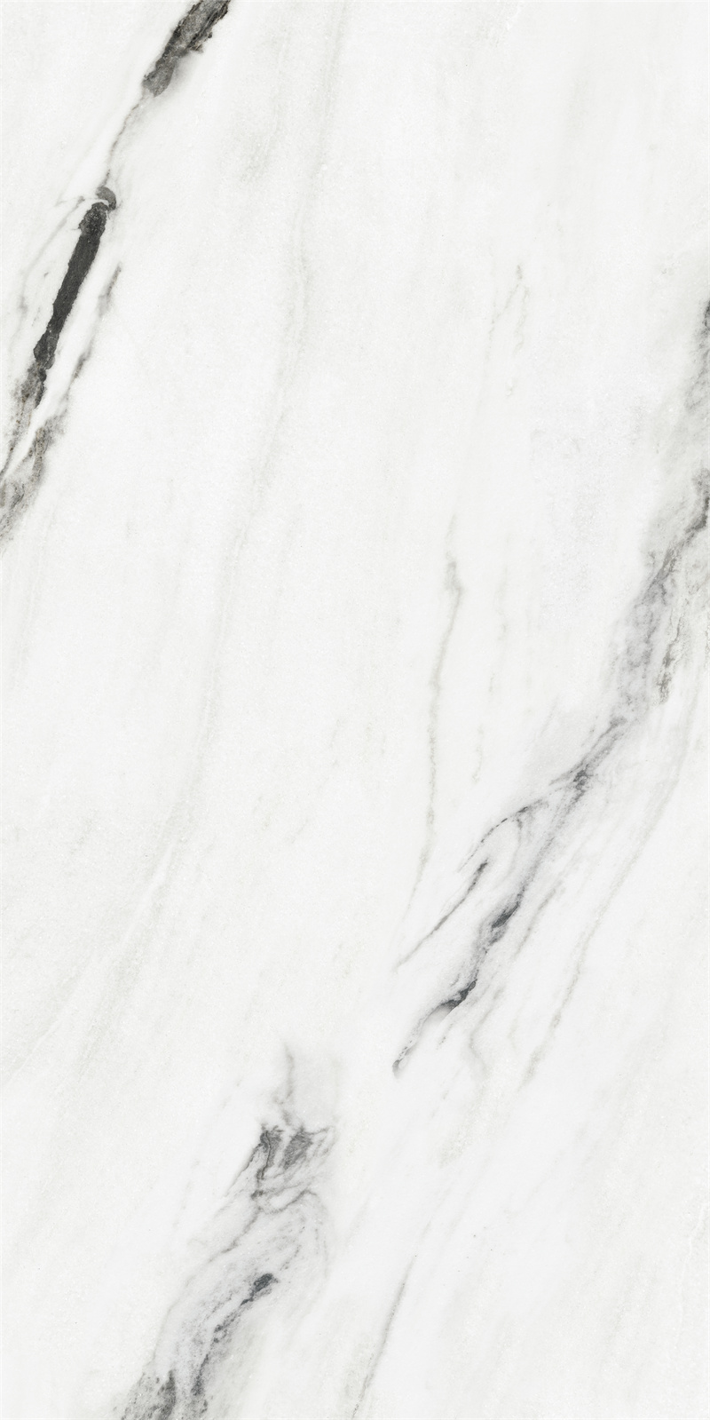 918ABK1007  纪梵希白