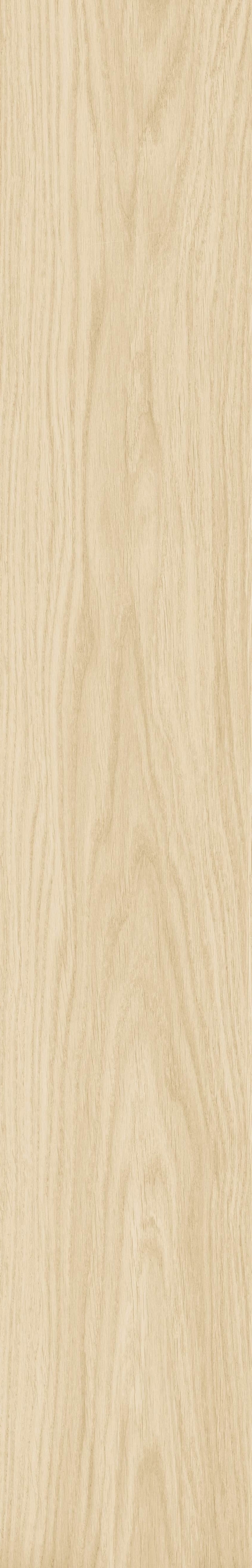 JMT2231 瑞尔橡木