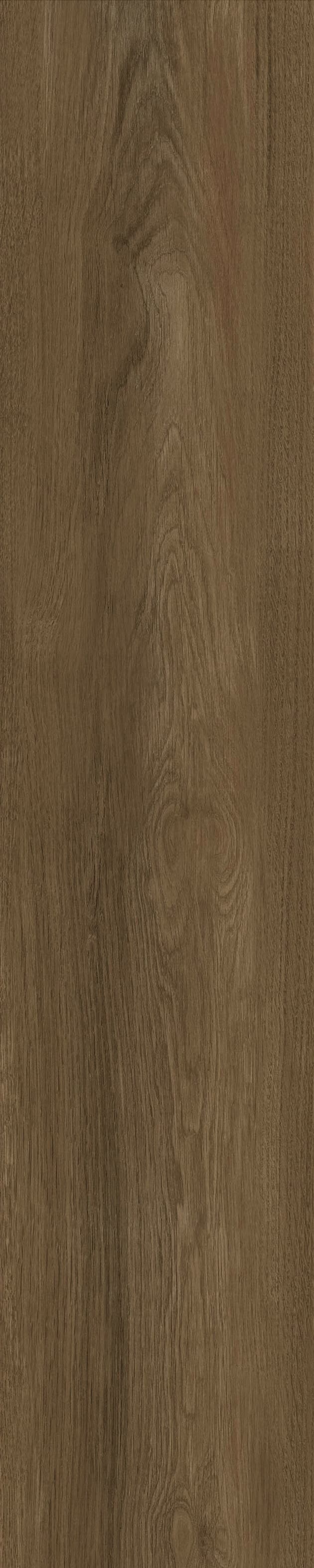 JMT1010R 法国梧桐 