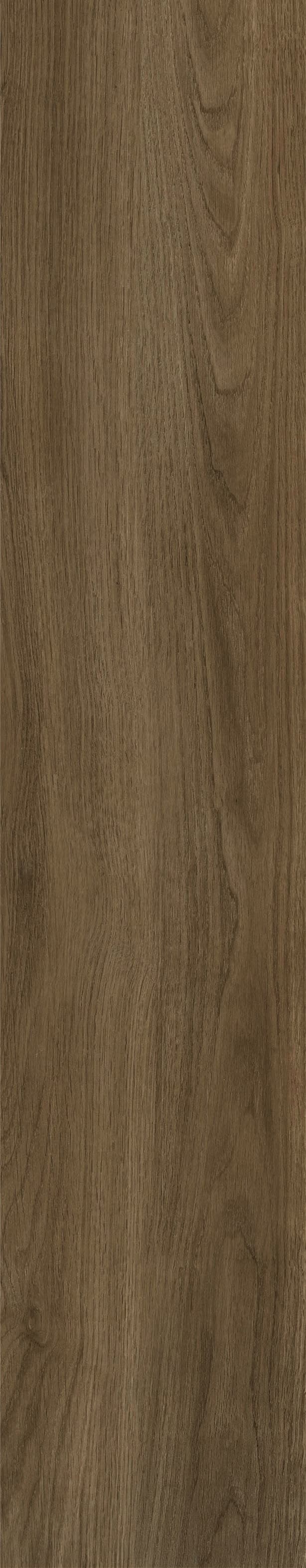 JMT1010R 法国梧桐 