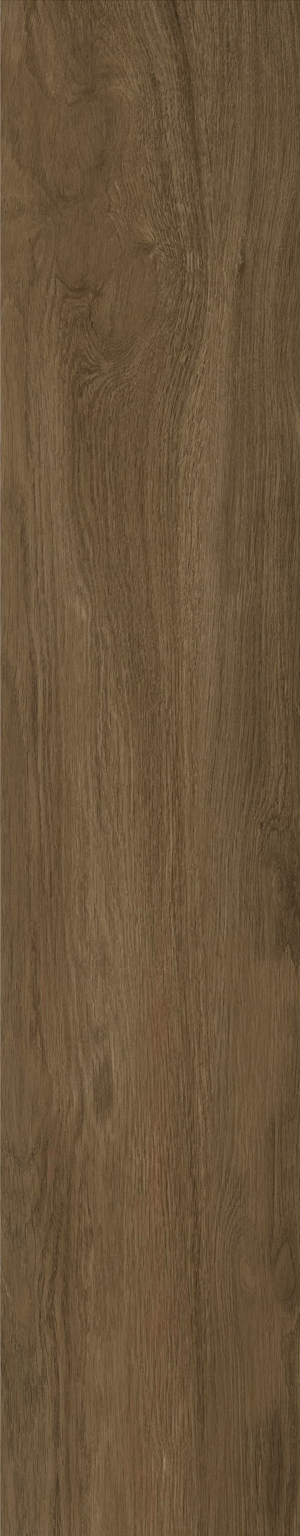 JMT1010R 法国梧桐 