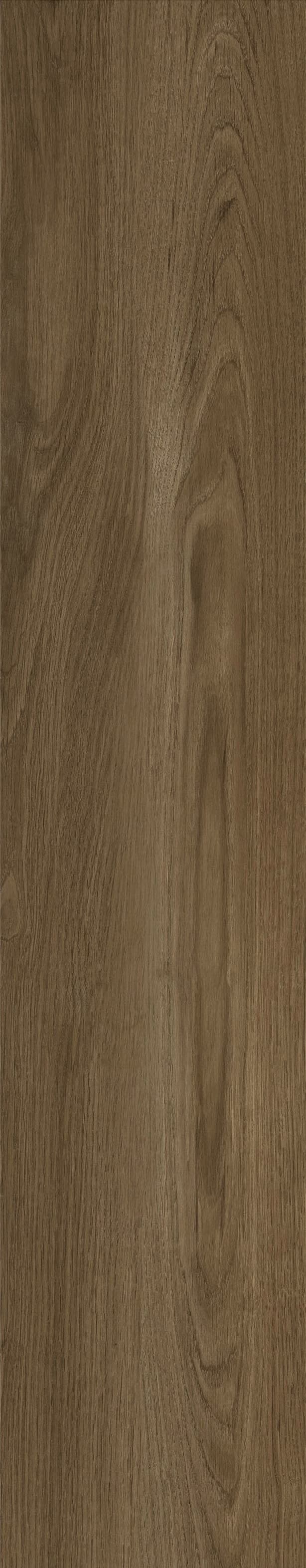 JMT1010R 法国梧桐 