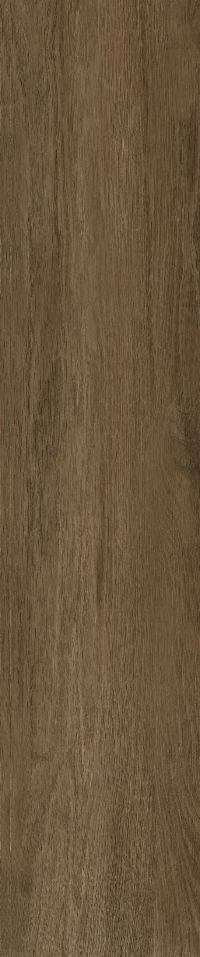 JMT1010R 法国梧桐 