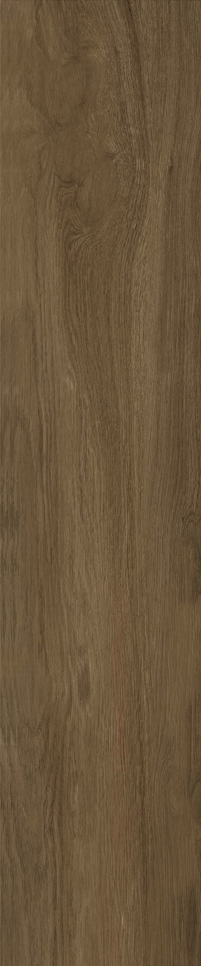 JMT1010R 法国梧桐 