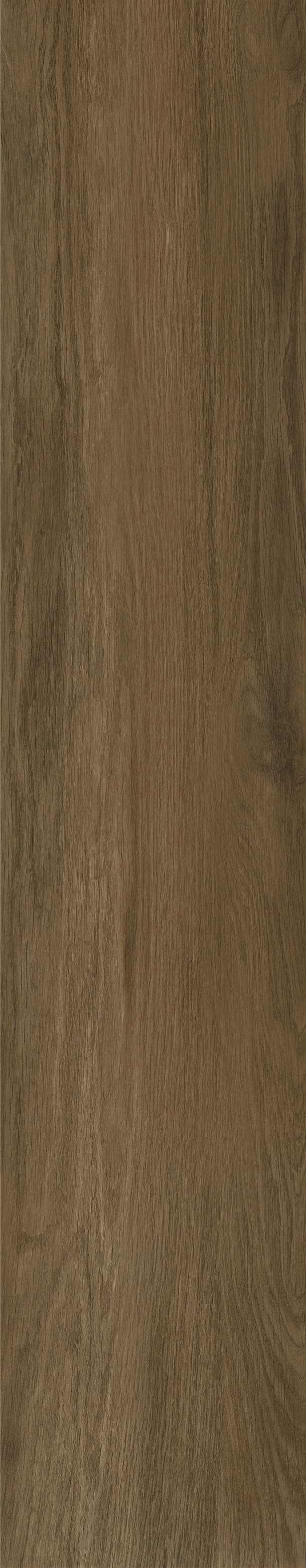 JMT1010R 法国梧桐 