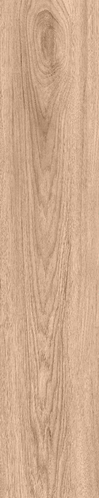 JMT1201 瑞典云杉