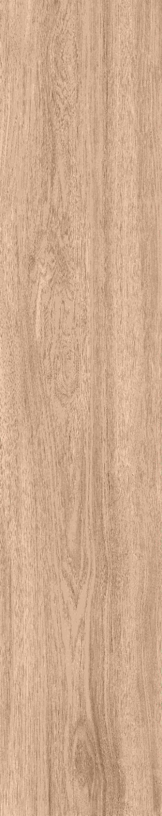 JMT1201 瑞典云杉