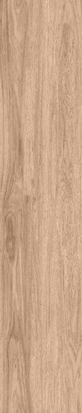 JMT1201 瑞典云杉