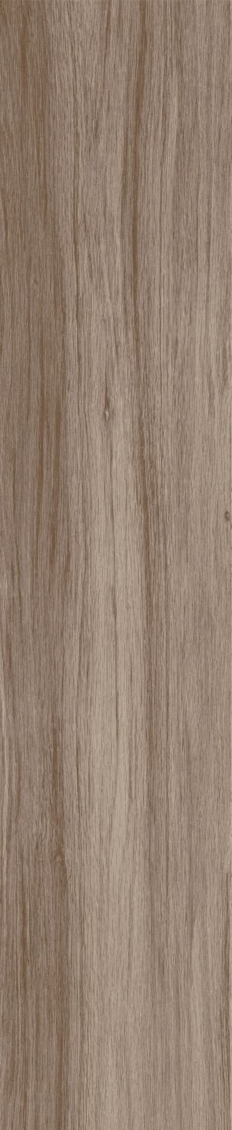 JMT1204 芬兰赤松