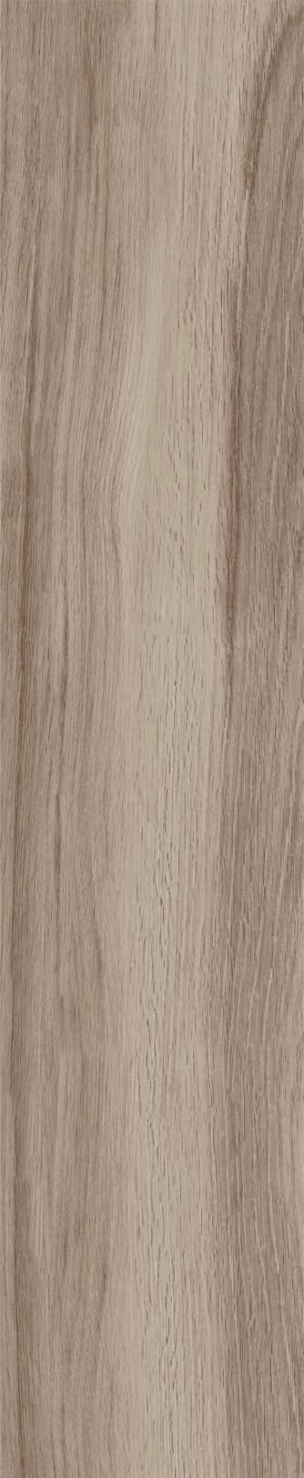 JMT1204 芬兰赤松