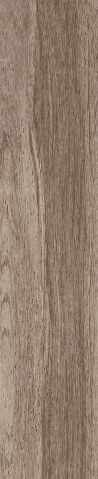 JMT1204 芬兰赤松