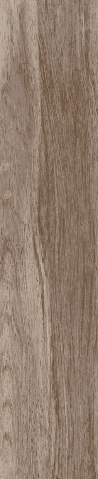 JMT1204 芬兰赤松