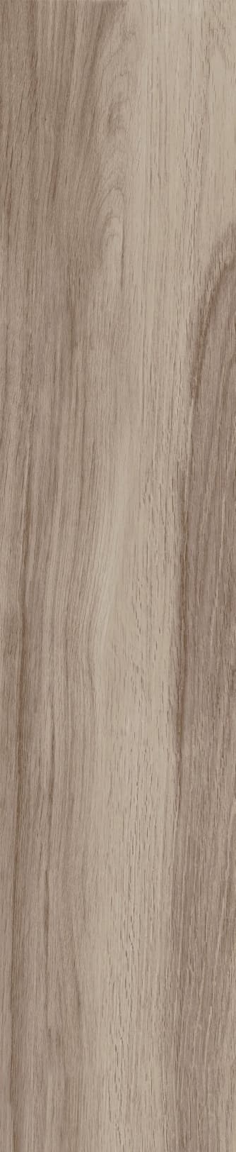 JMT1204 芬兰赤松