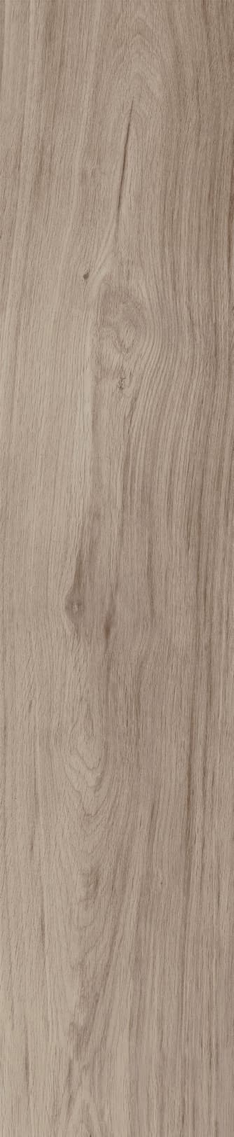 JMT1204 芬兰赤松