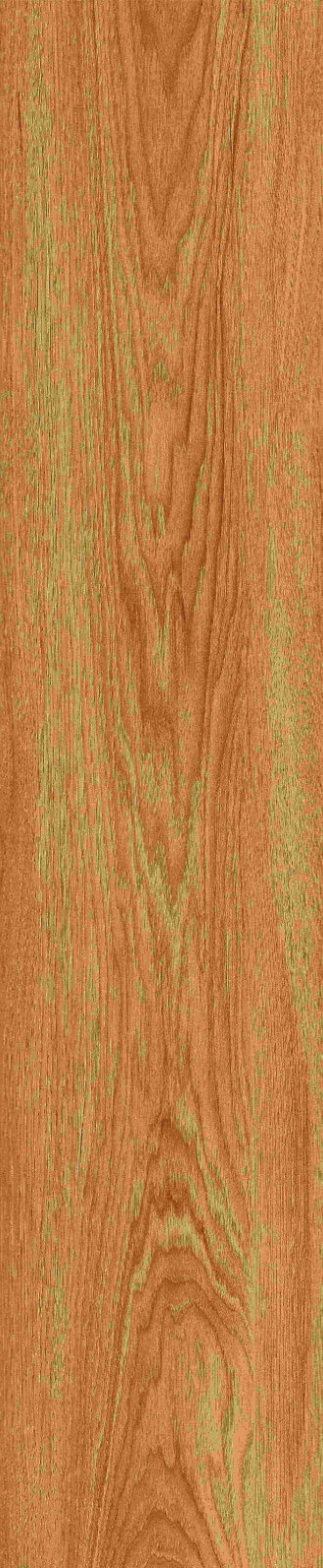 JMT1205 北美胡杨