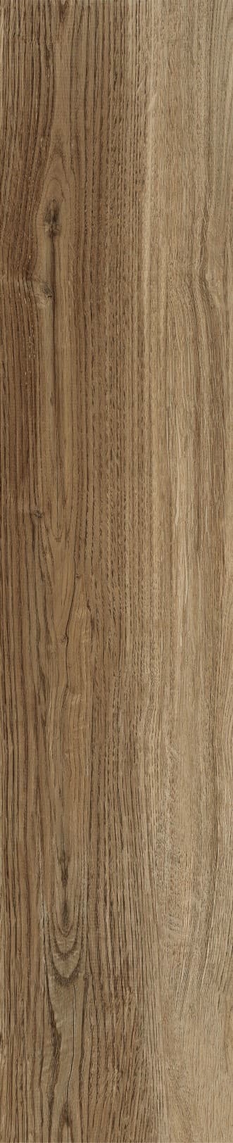 JMT1206 南美榆木