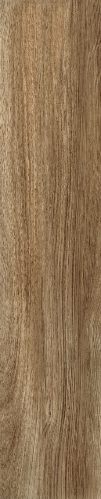 JMT1206 南美榆木