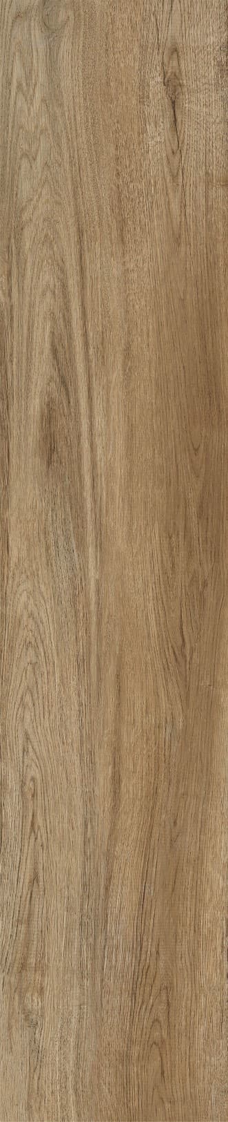 JMT1206 南美榆木