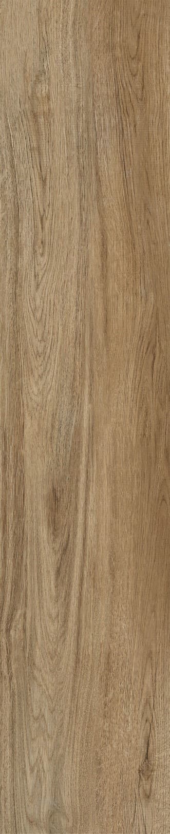 JMT1206 南美榆木