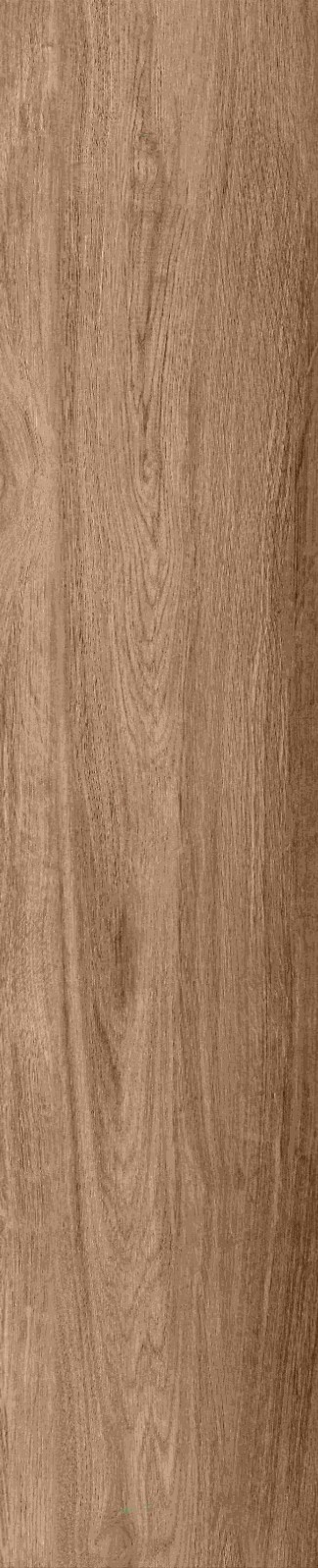 JMT1206 南美榆木