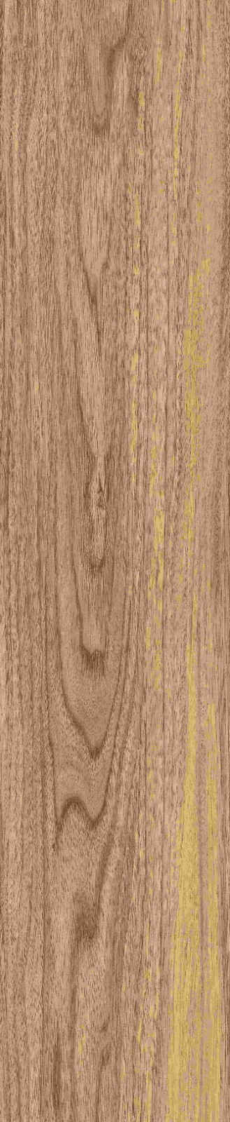 JMT1207 东洋樱桃