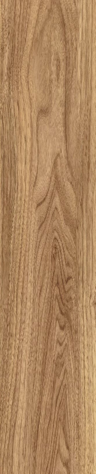 JMT1207 东洋樱桃