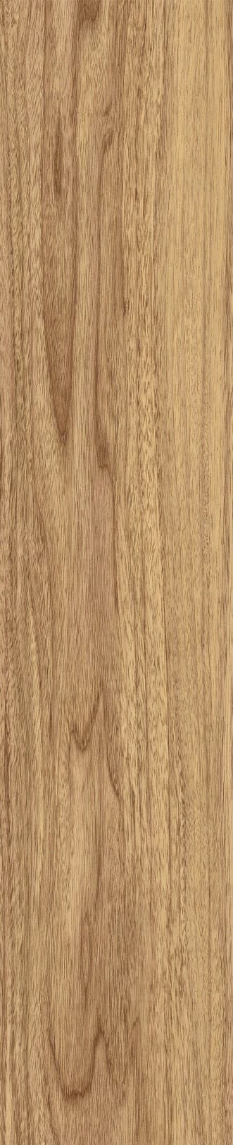 JMT1207 东洋樱桃